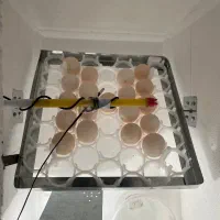 ساخت و فروش دستگاه جوجه کشی خانگی
