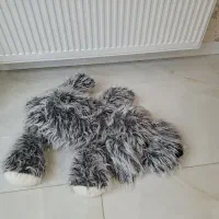 عروسک
