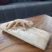 مجسمه چوبی مارمولک