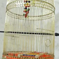 قفس پرنده گرد با پایه|لوازم جانبی حیوانات|مشهد, هنرور|دیوار