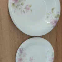 ظروف آرکوپال