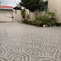 اجاره روزانه/هفتگی/ماهانه ویلا ۴۰۰ متری در معلم