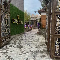 استخدام قلیان زن و سالن کار