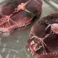 فروش انواع ماهی های دریایی پرورشی و میگو