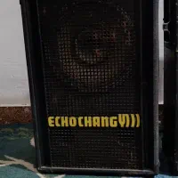 دوعدد  باند  سالم  تکی  و دوتایی  echo chang