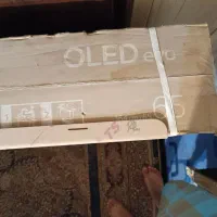 تلویزیون|تلویزیون و پروژکتور|زاهدان, |دیوار