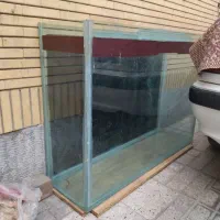 آکواریوم