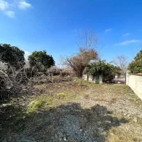 منطقه باغی / ویلا مستقل / 250 متری|فروش خانه و ویلا|چمستان, |دیوار