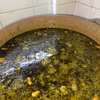 اشپزی و پخت انواع غذای نظری رایگان|خدمات پذیرایی، مراسم|تهران, امیریه|دیوار