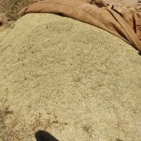 یونجه|لوازم جانبی حیوانات|چنارود, |دیوار