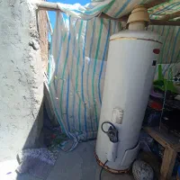 گرمگن زمینی سالم
