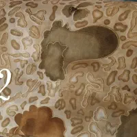 چادر رنگی خرید مکه|لباس|شیروان (خراسان), |دیوار