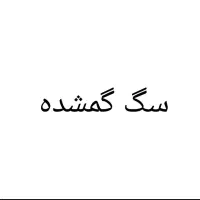 یک عدد سگ پیدا شده