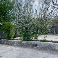 شاگرد جهت کار در رستوران دهبکری