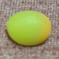 گوهر شب چراغ