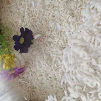 برنج دورود نه هر برنجی