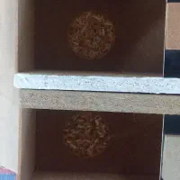 فروش لوازم پرنده|لوازم جانبی حیوانات|رشت, شهریاران|دیوار