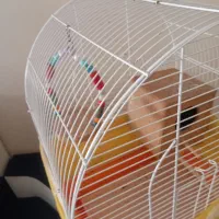 فروش یک قفس زیبا پرنده با تمام لوازم|لوازم جانبی حیوانات|تهران, افسریه شمالی|دیوار