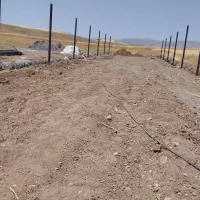 سالن دامداری شخصی سازی شده|فروش دفتر صنعتی، کشاورزی، تجاری|کندوان, |دیوار