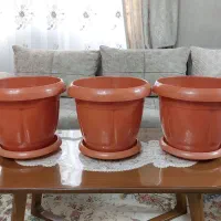 گلدان پلاستیکی