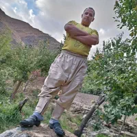 مدارک گمشده