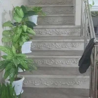 منزل نوساز ۸۵ متر مبارک اباد سنددار|فروش خانه و ویلا|قنوات, |دیوار