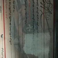 تیبا دوگانه فابریک 95|خودرو سواری و وانت|گنبد کاووس, |دیوار