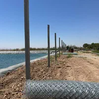 فنس پایه بتنی تیرچه داربستی داربست انگور توری|خدمات باغبانی و درختکاری|ساوه, |دیوار