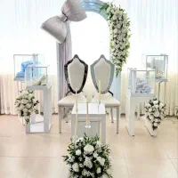دیزاین،خنچه،شاخه نبات کرایه لوازم فیلمبرداری عکاسی