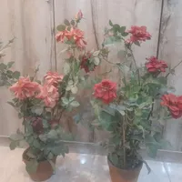 دو عدد گل وگلدان مصنوعی