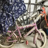 دوچرخه ۲۴ و ۱۲