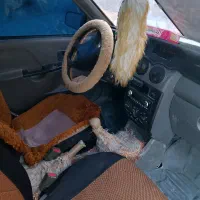 فروش فوری|خودرو سواری و وانت|ایرانشهر, |دیوار