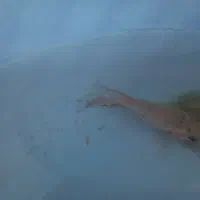 ماهی|ماهی|رباط‌کریم, الارد|دیوار