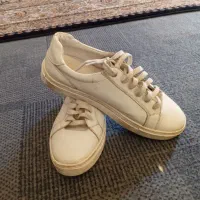 کفش|کیف، کفش، کمربند|یاسوج, |دیوار