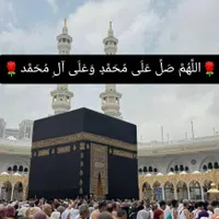 نگهبان میشم