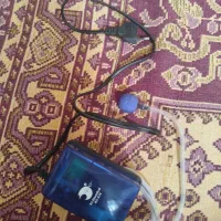 پمپ ماهی
