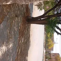 اجاره انبار ۱۶۰ متری بهداشتی