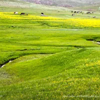 زمین معاوضه با ماشین