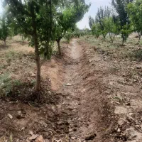 باغچه-970-متری-شهریار