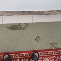 موکت بدون پرز