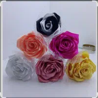 گل های روبانی در رنگبندی
