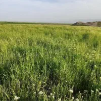 خدمات باغ بانی‌