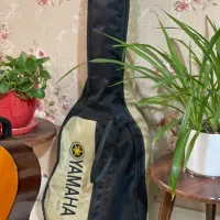 یاماها c 40 اصل اندونزی درحد نو فقط با تمام وسایل|گیتار، بیس، امپلیفایر|تهران, تهرانپارس شرقی|دیوار