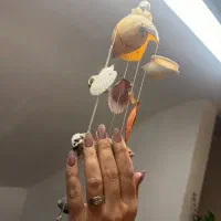 ترمیم و کاشت|خدمات آرایشگری و زیبایی|پردیس, فاز ۴|دیوار