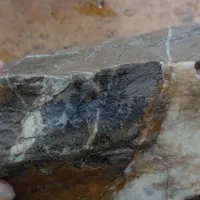 سنگ شجر|کلکسیون اشیاء عتیقه|خوی, |دیوار