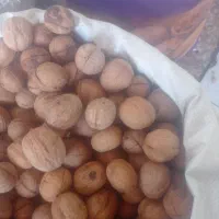 گردوشکن برای گردو خارجی کاغذی