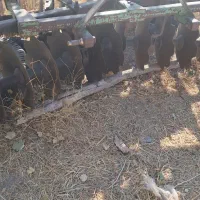 دیسک وگاو آهن رومانی