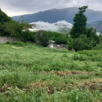 فروش زمین در آمارو شیرکده|فروش زمین و ملک کلنگی|بره‌سر, |دیوار