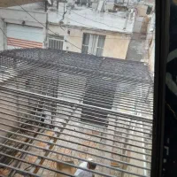 حفاظ آکاردئونی، ساخت و نصب حفاظ درب و پنجره|خدمات پیشه و مهارت|تهران, پاسداران|دیوار