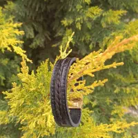 دستبند موی یار|بدلیجات|بیرجند, |دیوار